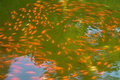 2024年Q1最赚钱的PC和主机端游戏 《龙之信条2》上榜