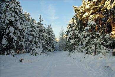 B社宣布将于5月停用自家PC客户端 数据迁移至Steam